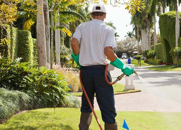 About Leonard MI Pest Control